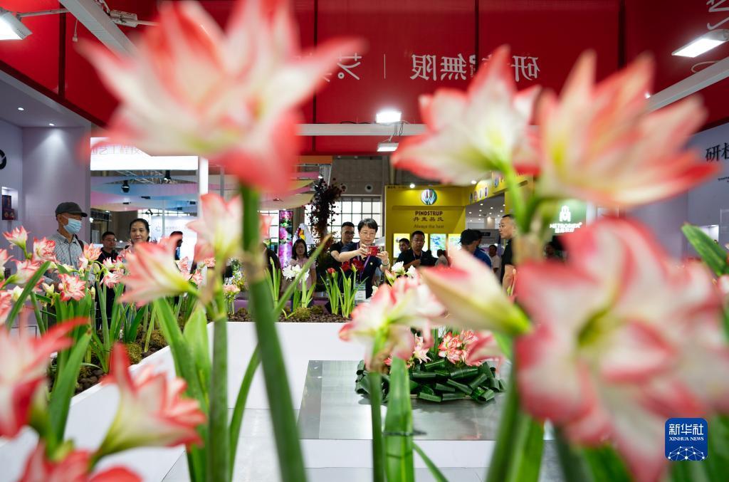捕鱼游戏破解版